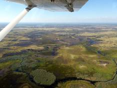 Flug über dem Okavango Delta