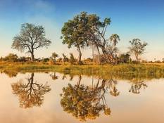 Das Okavango Delta