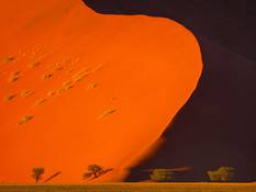 Rote Sanddünen in der Namibia Wüste