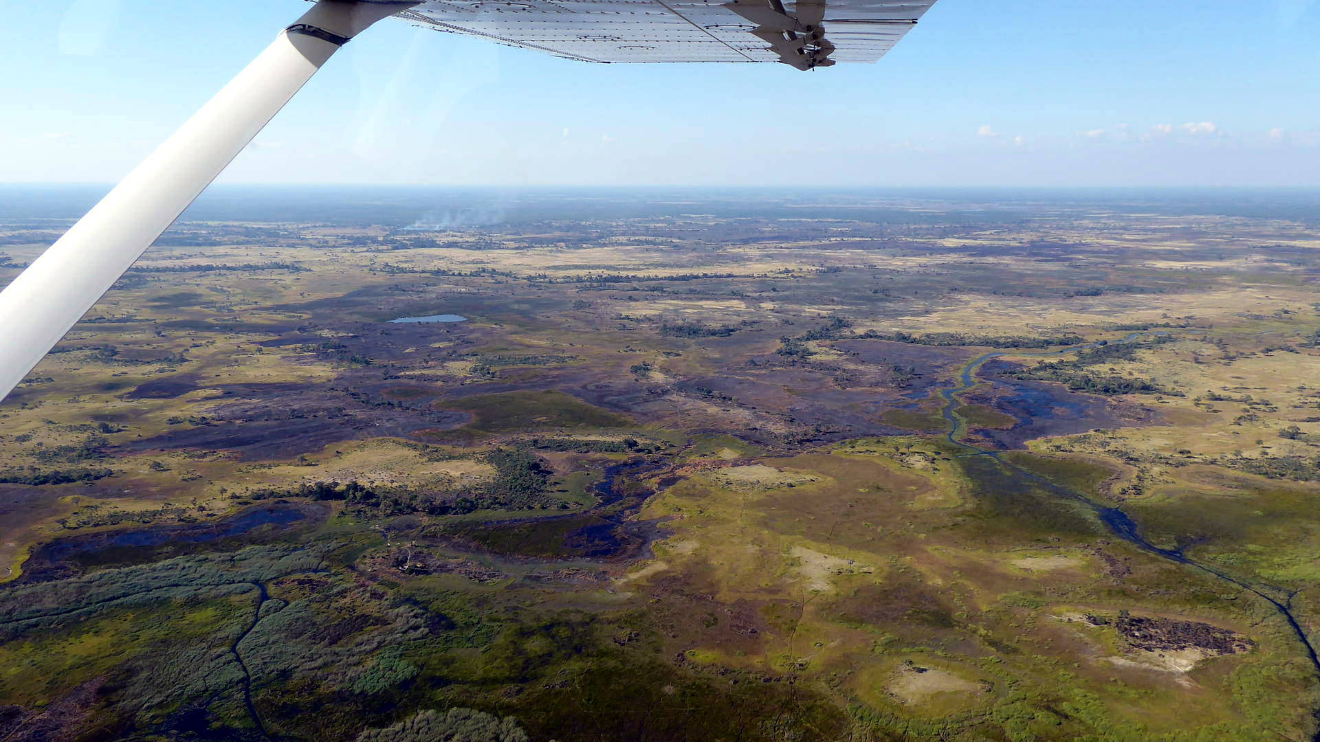 Ein Flug in das Naturparadies Okavango Delta